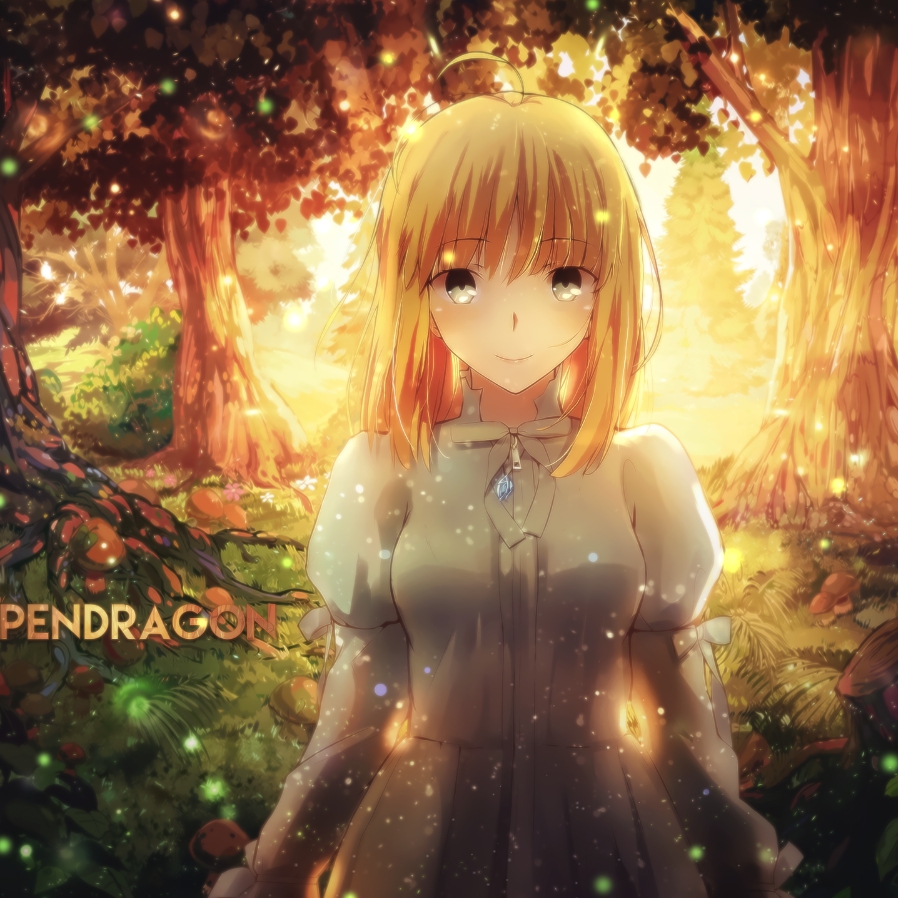 Wallpaper Engine ��֮Saber ��̬��ֽ