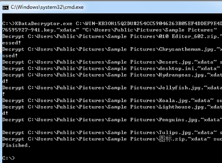 XData病毒解密工具