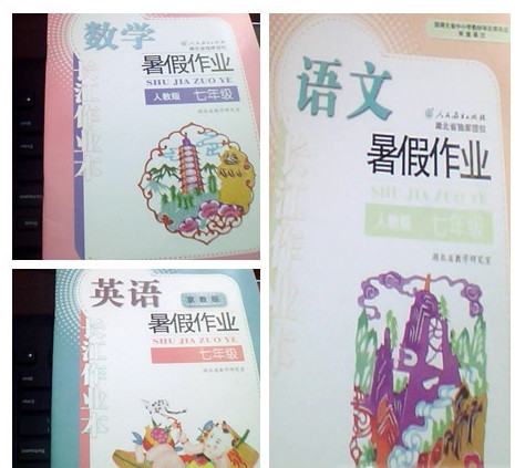 2017�������������ҵ���� doc������