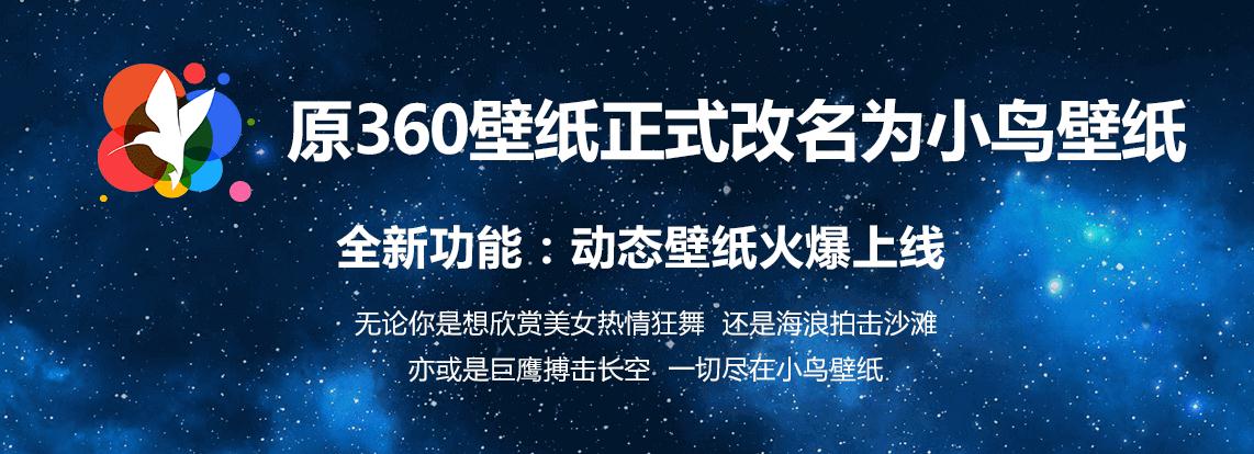 小鸟壁纸(原360壁纸官方下载)