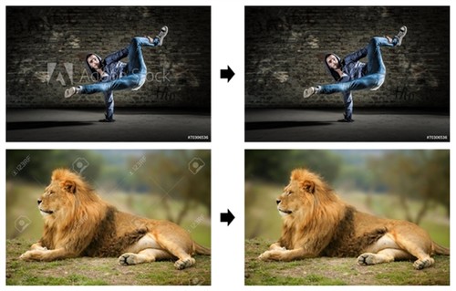 谷歌Google自动去水印软件(图片自动去水印软件)