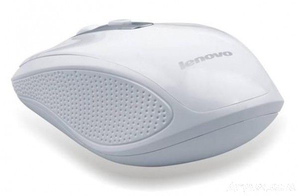 ����N110�����������