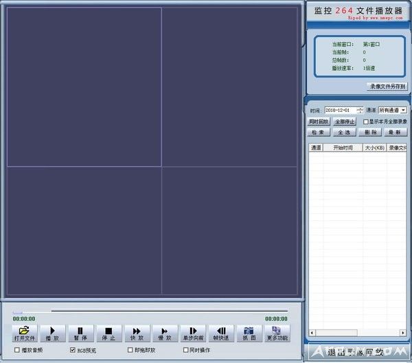 监控264文件播放器