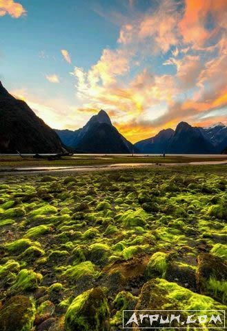 2018�ֻ��������������ֽͼƬ