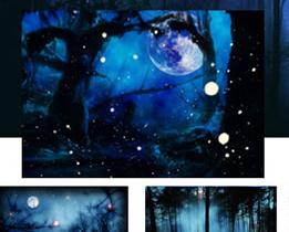 夜晚森林背景photoshop笔刷