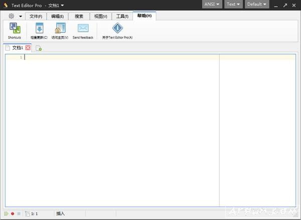Text Editor Pro高级文本编辑器
