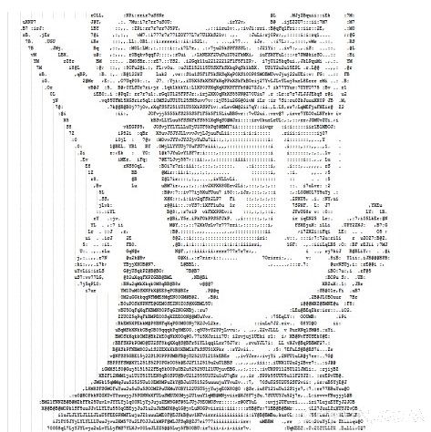 ͼƬת�ַ���(Ascgen2)