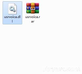 usrvoica.dll文件