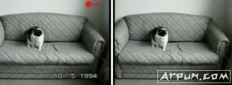 ��Ƶȥˮӡ���� ѹ�������ע����