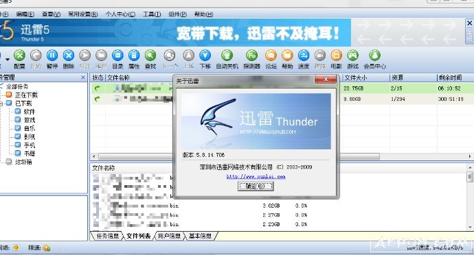 迅雷v5.8绿色共存版
