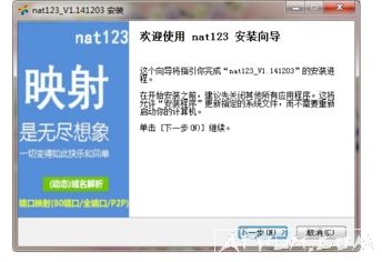 nat123 内外网映射