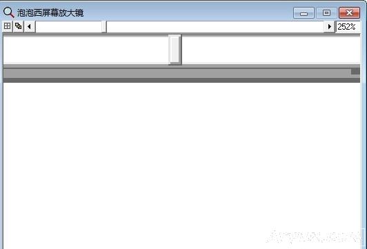 泡泡西屏幕放大镜