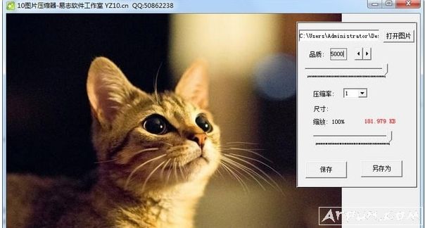 10ͼƬѹ����