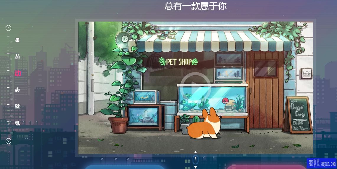 ���Ѷ�̬��ֽ�����涯̬��ʾ��ֽ���ߣ�