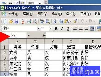 Word文档提取汇总工具